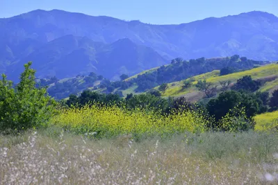 DSC_6110 (Large).JPG